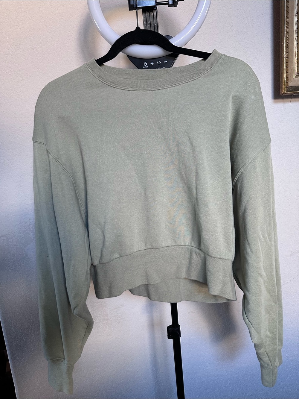 Aritzia TNA Cropped Crewneck Sweatshirt - Sage Green